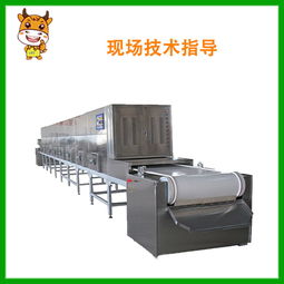 烤箱、烘焙及微波干燥设备报价与厂家选购指南