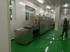 食品烘干杀菌微波设备 调味品杀菌烘干的高效解决方案