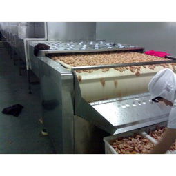 黄海虾皮报价与厂家选择 微波干燥设备的应用与优势